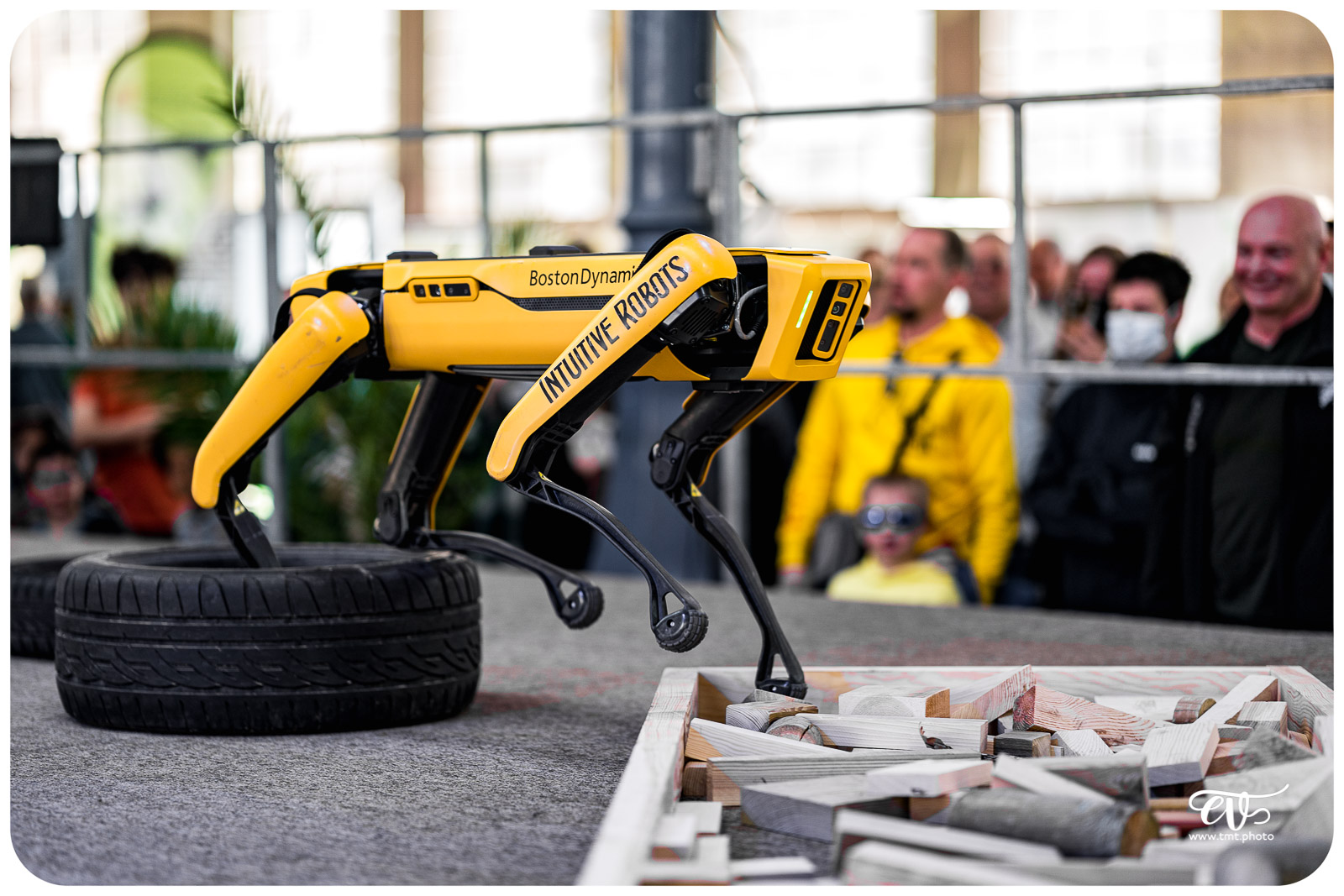 SPOT (BOSTON DYNAMICS)